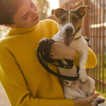 O direito da circulação dos animais de serviço e assistência nas áreas comuns dos condomínios
